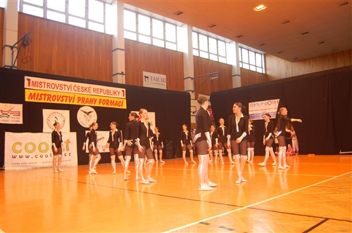 Obrázek v galerii