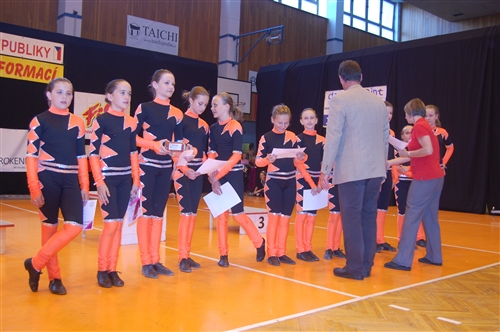 Obrázek v galerii