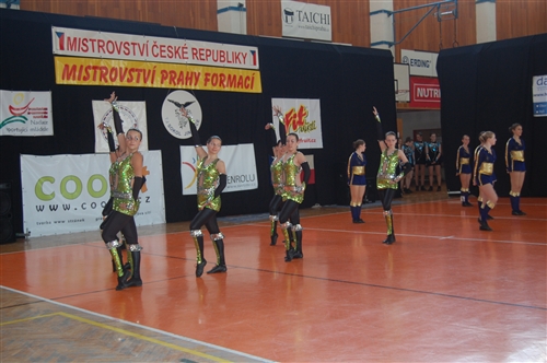 Obrázek v galerii