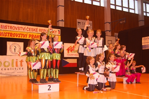 Obrázek v galerii