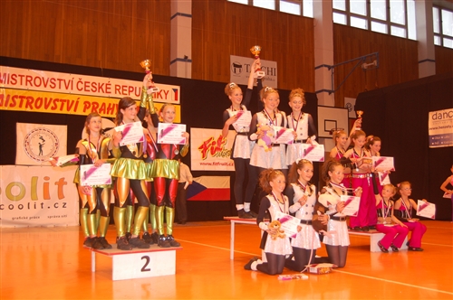 Obrázek v galerii