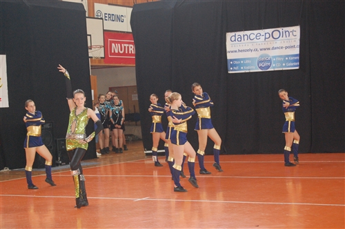 Obrázek v galerii