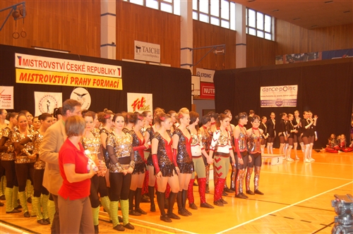 Obrázek v galerii