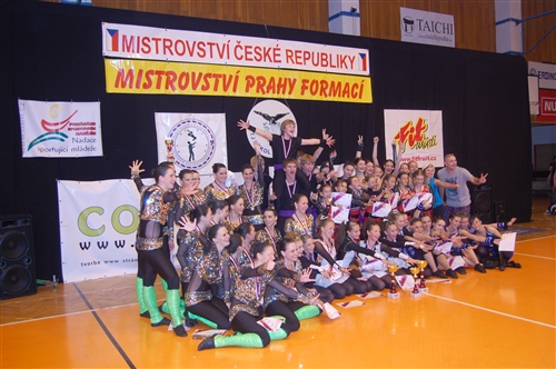 Obrázek v galerii