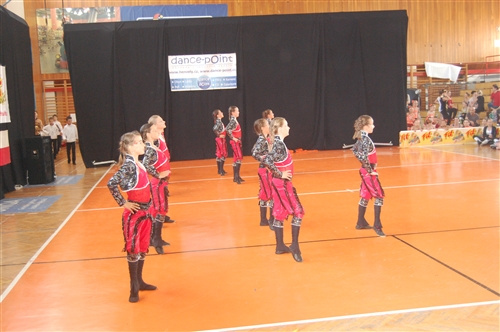 Obrázek v galerii