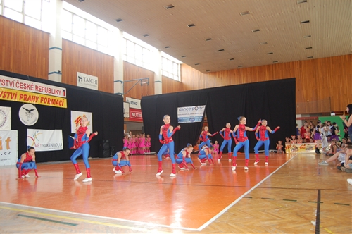 Obrázek v galerii
