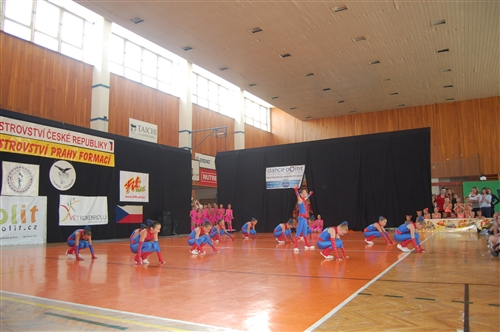 Obrázek v galerii