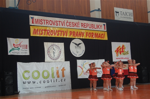 Obrázek v galerii