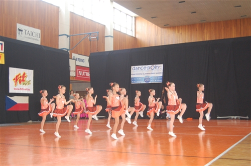 Obrázek v galerii