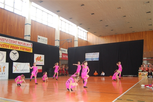 Obrázek v galerii