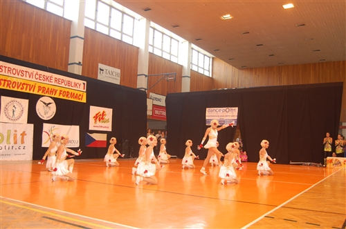 Obrázek v galerii