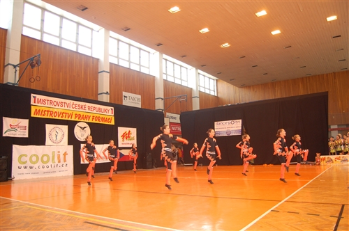 Obrázek v galerii