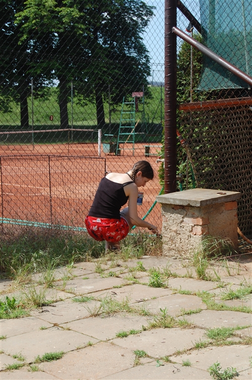 Obrázek v galerii