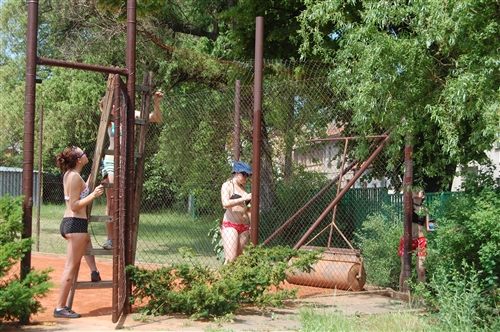 Obrázek v galerii