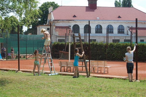 Obrázek v galerii