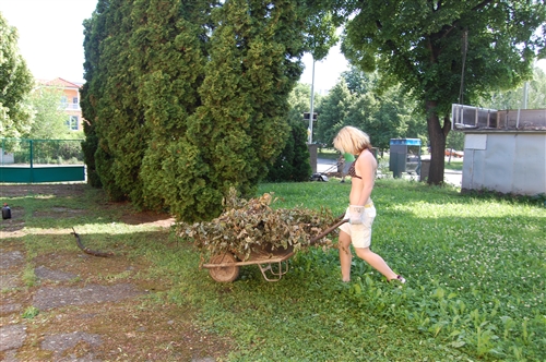 Obrázek v galerii