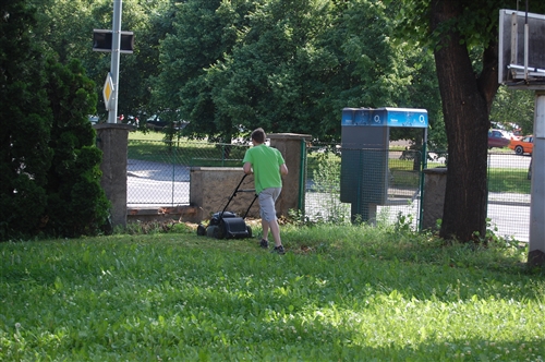 Obrázek v galerii