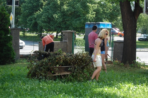 Obrázek v galerii