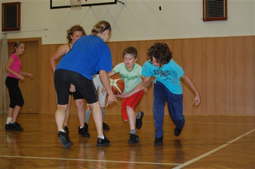Obrázek v galerii