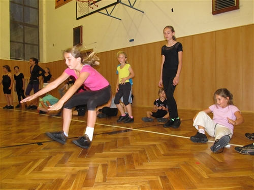 Obrázek v galerii