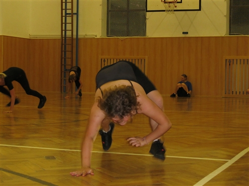 Obrázek v galerii