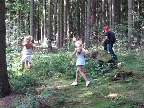 Obrázek v galerii