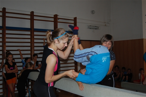 Obrázek v galerii