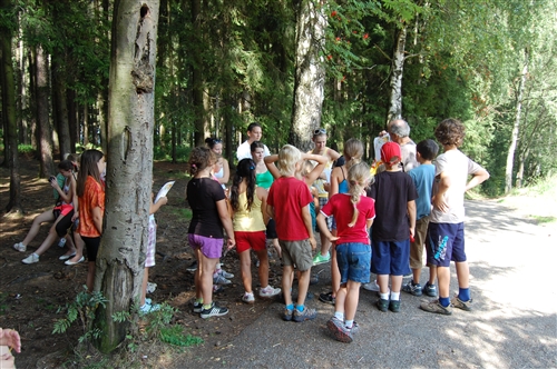 Obrázek v galerii