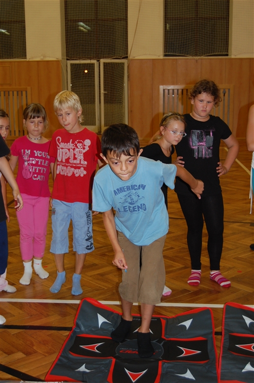 Obrázek v galerii