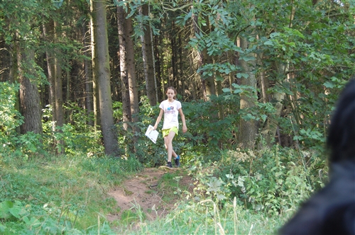 Obrázek v galerii