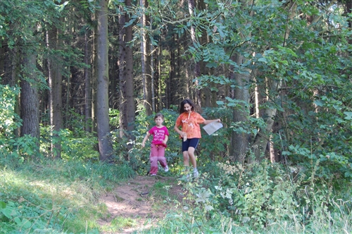 Obrázek v galerii