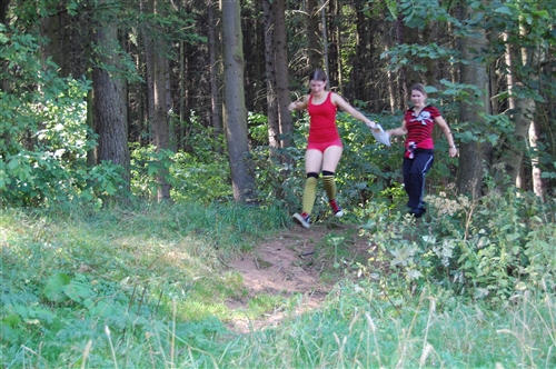 Obrázek v galerii