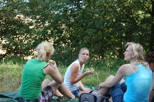 Obrázek v galerii
