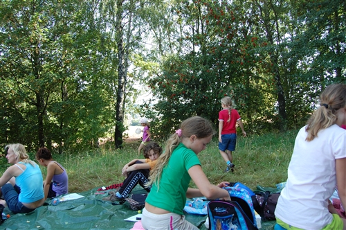 Obrázek v galerii