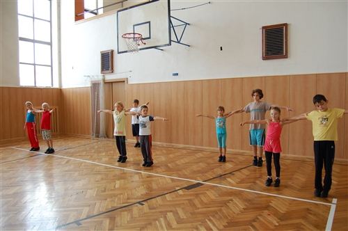 Obrázek v galerii