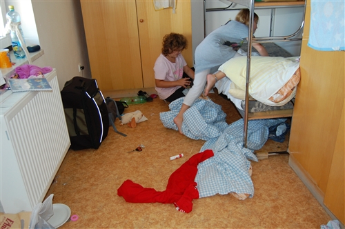 Obrázek v galerii