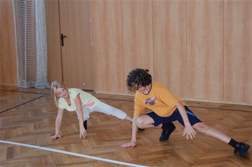Obrázek v galerii
