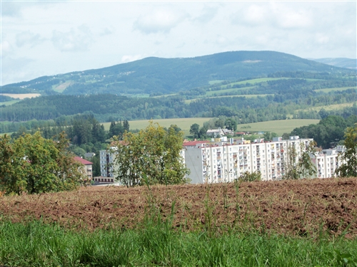 Obrázek v galerii