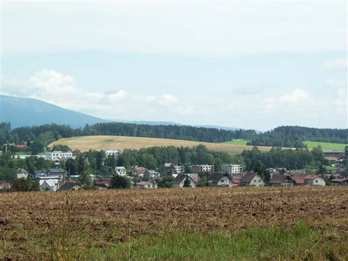 Obrázek v galerii