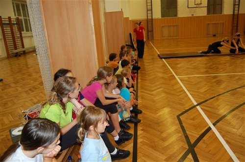 Obrázek v galerii