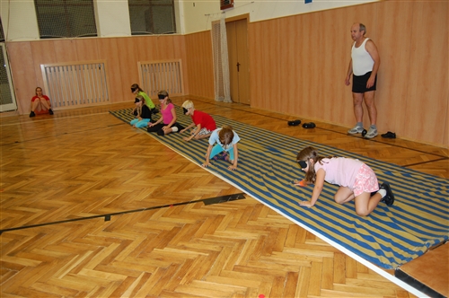 Obrázek v galerii
