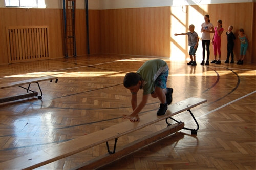 Obrázek v galerii