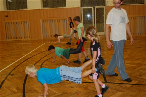 Obrázek v galerii