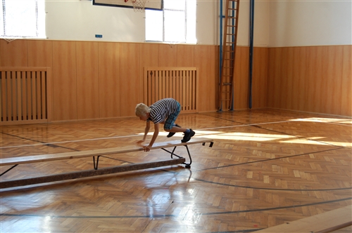 Obrázek v galerii
