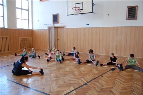 Obrázek v galerii