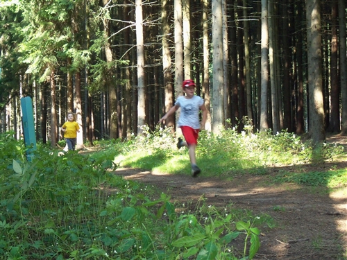 Obrázek v galerii
