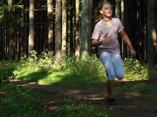 Obrázek v galerii