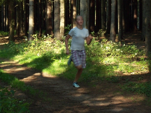 Obrázek v galerii