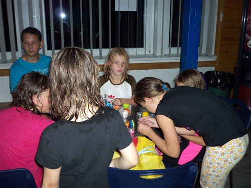 Obrázek v galerii