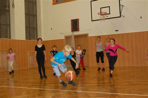 Obrázek v galerii